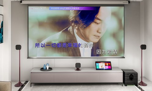 家庭ktv購(gòu)買攻略 物超所值乃首選,這2款產(chǎn)品值得推薦