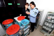 假期出行安全指南 安全咨詢服務全方位解析